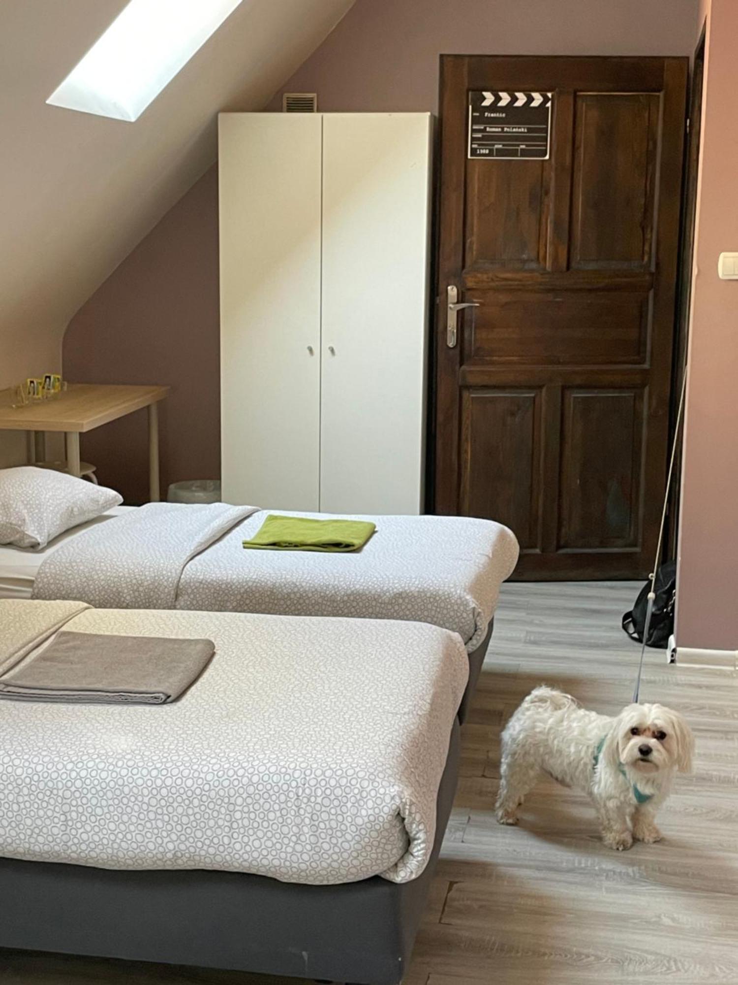 Kolysanka Private Rooms In Old Town Poznań Extérieur photo